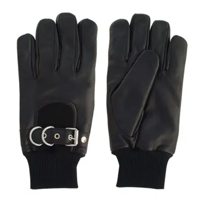 Dressing Gloves