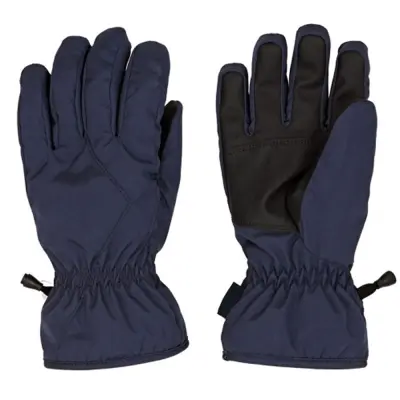 Ski Gloves